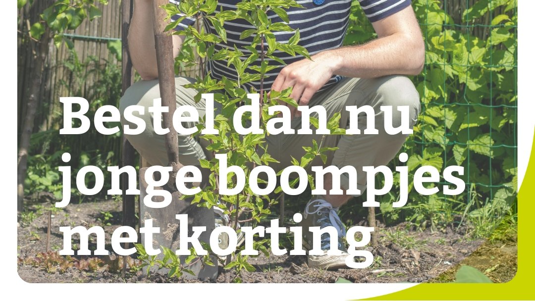 NMF Groningen tweet media