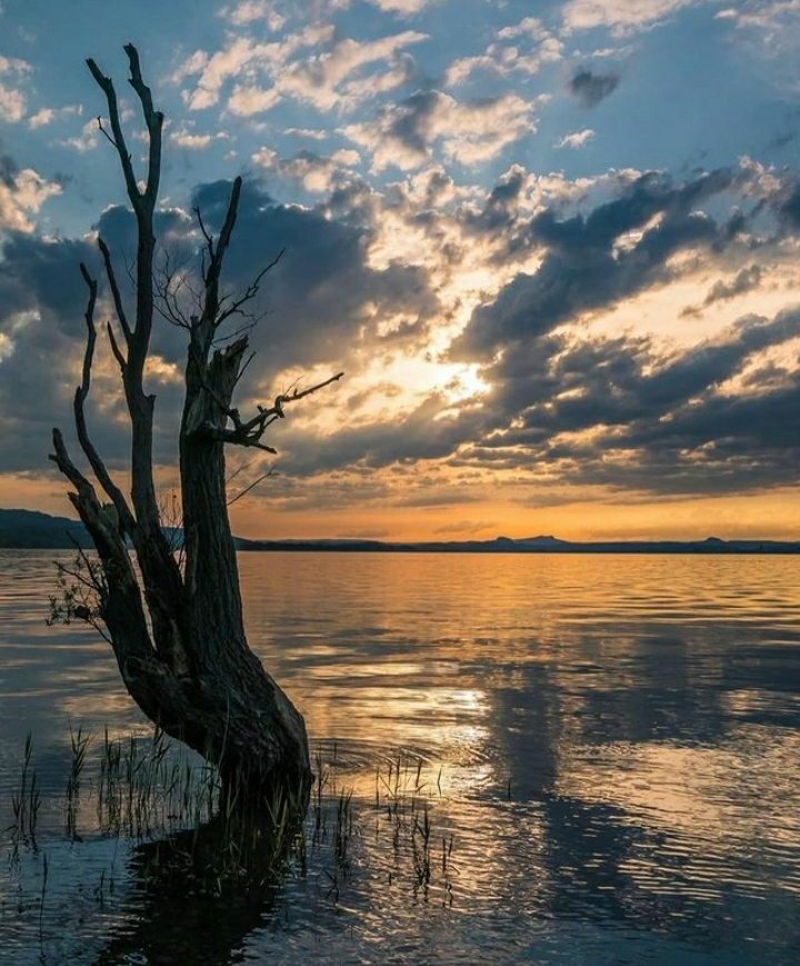 Hi everyone!👋
Share some photos below
Please retweet this post to get more exposure
* Follow appreciated

Thank you😃
#photography #PhotographyIsArt   #photooftheday  #photogram #nature #naturephotography #naturelovers #nature_perfection #naturepic #natureshot #beautyofnature