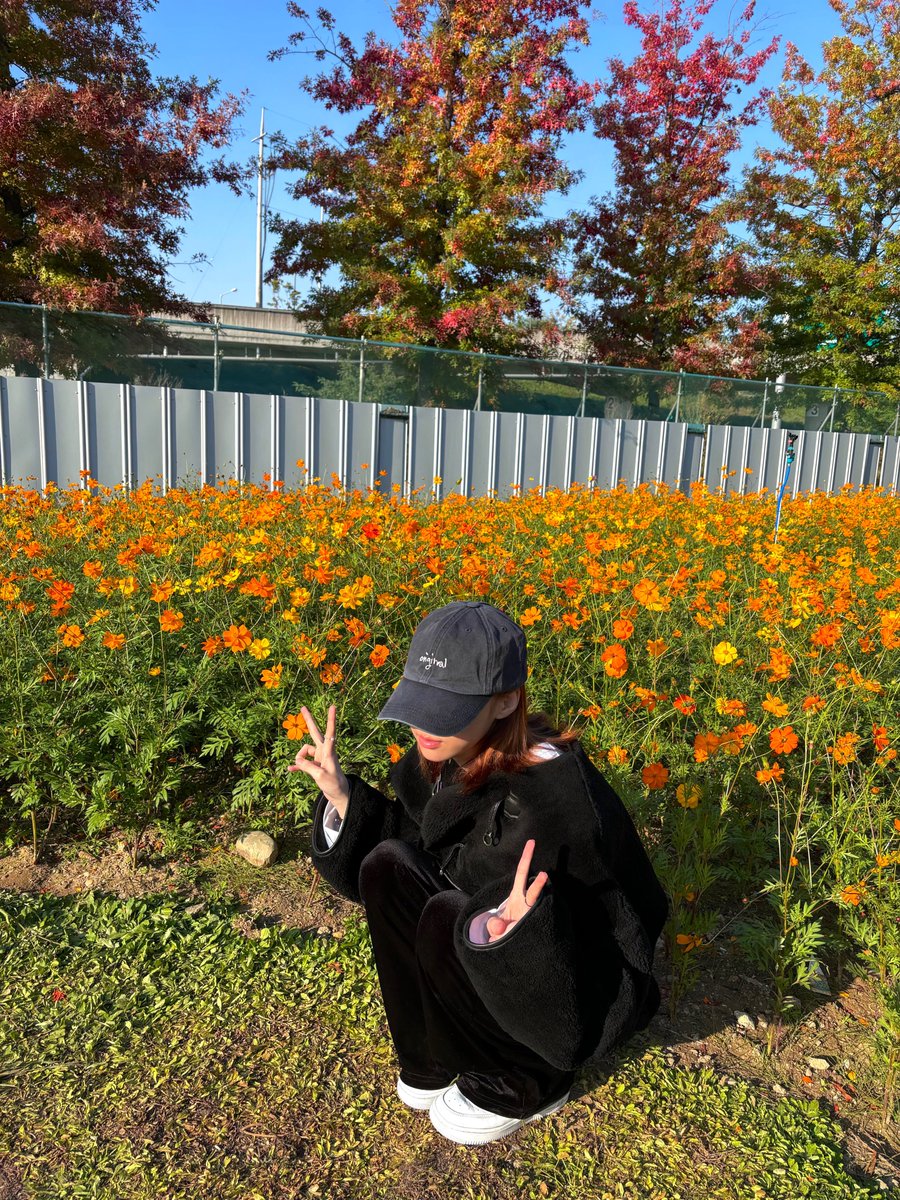 winrina_bbl's tweet image. Winter WEVERSE Update

⭐️: 🌼🌻💛    -⛄️