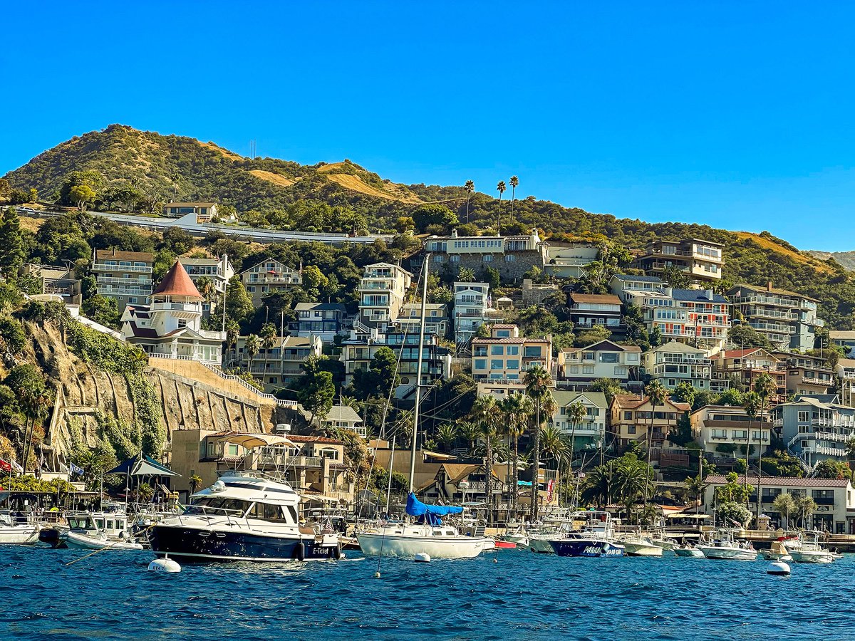 AjibolaFasola's tweet photo. POV: Catalina Island
πΈ: @AjibolaFasola
#Catalina #Catalinaexpress #CatalinaIsland https://t.co/4rgR5Z7yqo
