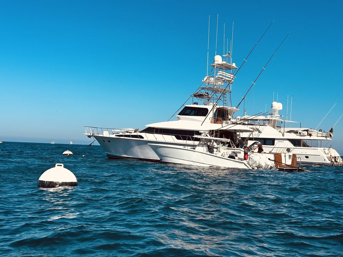 AjibolaFasola's tweet photo. POV: Catalina Island
πΈ: @AjibolaFasola
#Catalina #Catalinaexpress #CatalinaIsland https://t.co/4rgR5Z7yqo