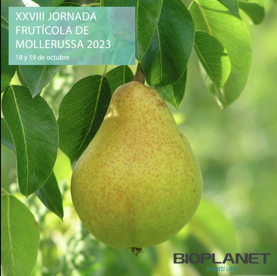 bioplanetES's tweet photo. Los días 18 y 19 octubre se celebra la XXVIII #JornadaFrutícoladeMollerussa🍐🍎
Allí estaremos, junto a nuestros compañeros de @Biogard_Spain , tratando de aportar soluciones basadas en #controlbiológico🐝🐞de #plagas, como la psila en #peral , o la araña en #manzano. 
#Bioplanet https://t.co/eRLOmVQBA0