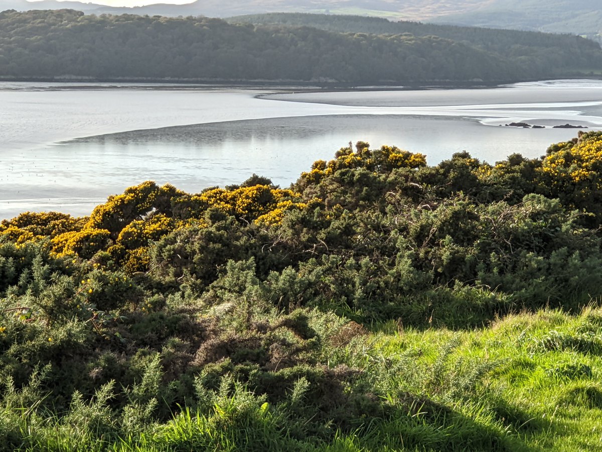 Beautiful autumn days, perfect for our South-West Scotland Coastal Way Officer to be out surveying the next round of path upgrades. Katrina and Splash were in the Rockcliffe area - Splash helping out with the tape measure!
#DumfriesandGalloway #Solway #SolwayFirth #autumnwalks