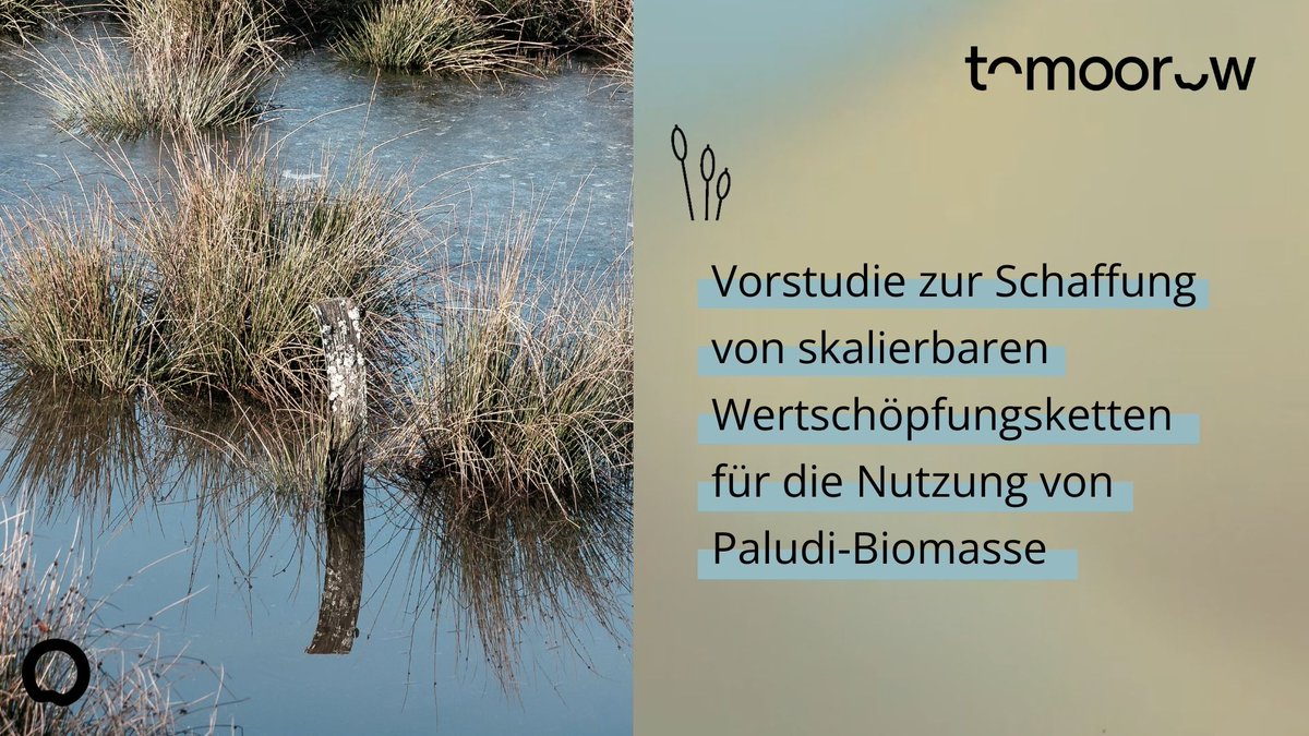 Pioniergeist wecken mit Paludipotenzial – <a href="/DLF/">Deutschlandfunk</a> Umwelt &amp; Verbraucher über #toMOORow-Studie: Karton, Spanplatte, Bioplastik - wie u mit welchem Anteil Unternehmen durch #Biomasse aus #Paludikultur fossile Rohstoffe ersetzen + #Emissionen einsparen können
deutschlandfunk.de/wiedervernaess…