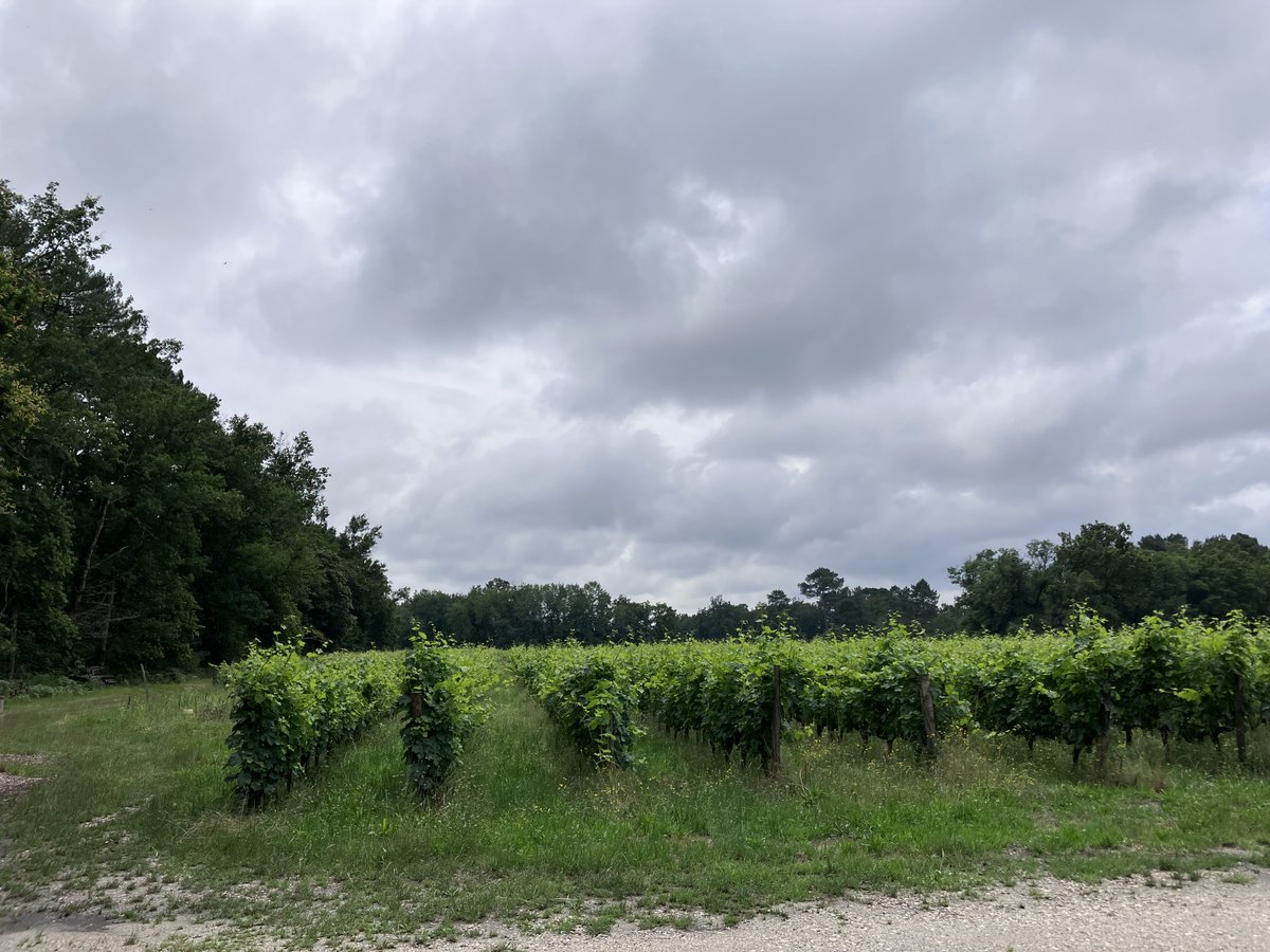 [Article] Humaniste. Altruiste. Empathique. Ces qualités existent. En #Gironde, près de #Landiras, elles ont pour visage Alain Giroire, un bénévole de la MSA qui se plaît à diffuser du bien-être partout dans son territoire.
Portrait dispo👉urlz.fr/nTI1
#ElusMSAenAction
