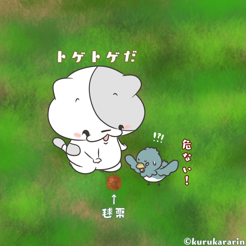 食欲の秋🌰
#イラスト #ほのぼの #ましゅうとえまる #小鳥 #秋 #栗