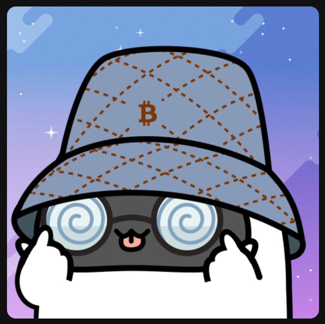 My new DeFiAnimals from <a href="/ZkAnimals/">zkAnimals</a> 😃