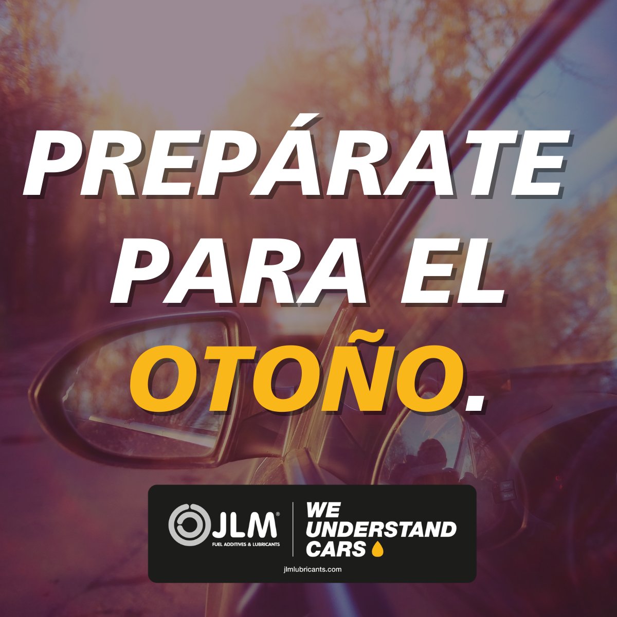 GML Alto Rendimiento tweet media