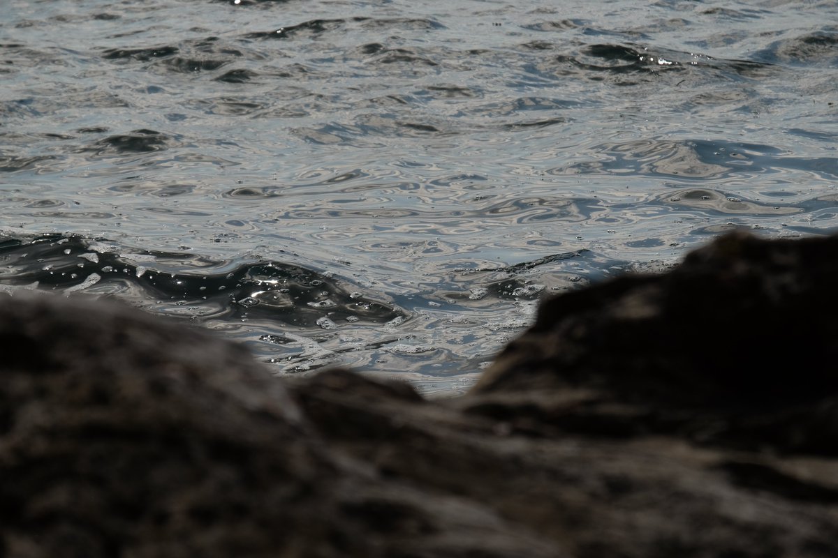 Austin Valentine tweet media