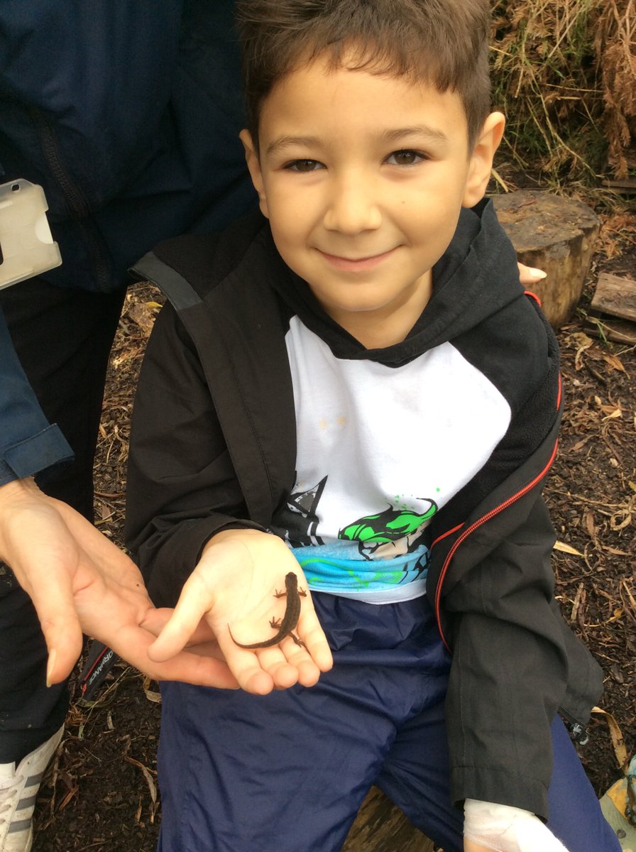 TPS1914's tweet photo. We had another busy week in Forest School last week! The children learnt about everything from fire safety to cooking to autumnal wreath making to science investigations to tying knots to weaving to making maps to measuring worms! https://t.co/KPzRet5vcc