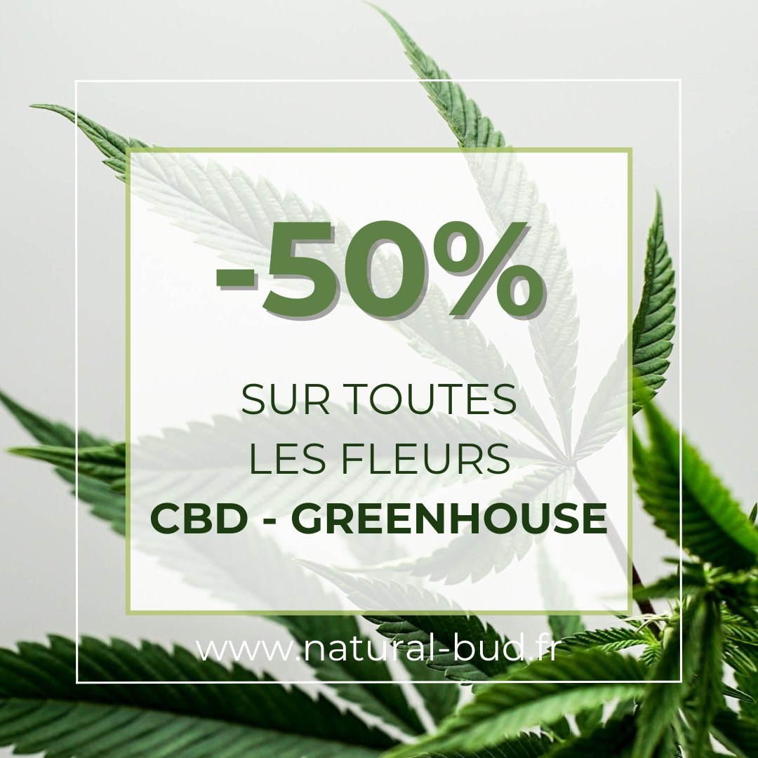 🔥 Dernière semaine pour profiter de la réduction de 50% sur toutes les fleurs #CBD Greenhouse 🔥

natural-bud.fr

#momentdetente #bienetre #antistress #antidouleur #detente #zen #plaisir #relax #promotion #promo #réduction