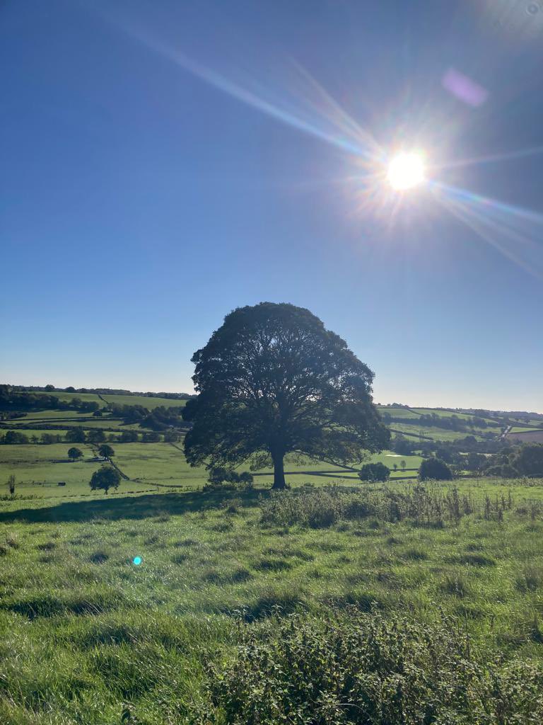 Sunshinephysio tweet picture
