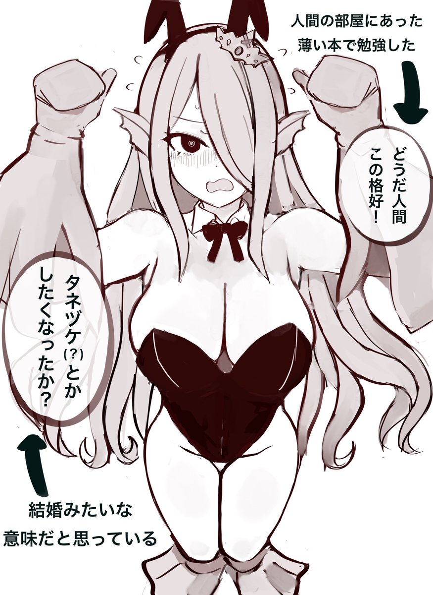 勘違いバニーハゥフニス 