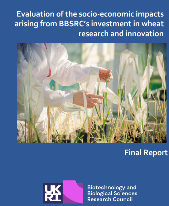 BBSRC's tweet photo. BBSRC-funded wheat research has led to-

More resilient, sustainable varieties
Transformative advances in tools technologies and resources
A vibrant wheat research community
A projected GVA of £900m for the UK economy over 25 yrs

More in our new report ➡️https://t.co/1OqI3ZzHQN https://t.co/dQrCw49nDt