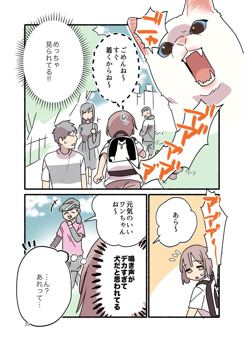 犬に間違われる猫の話(2/2) #漫画が読めるハッシュタグ