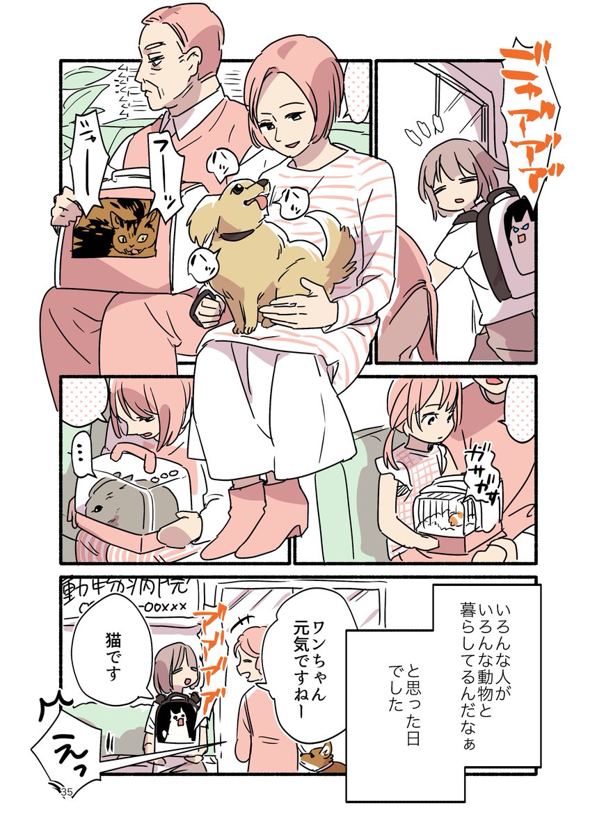 犬に間違われる猫の話(2/2) #漫画が読めるハッシュタグ