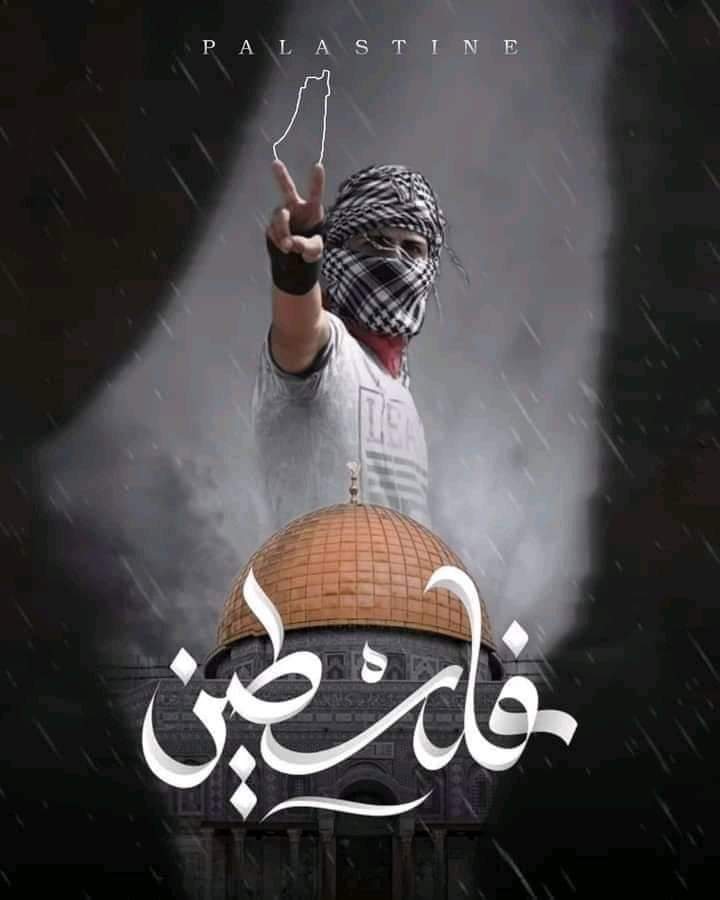 محمد جمال (@mooha8913) on Twitter photo 