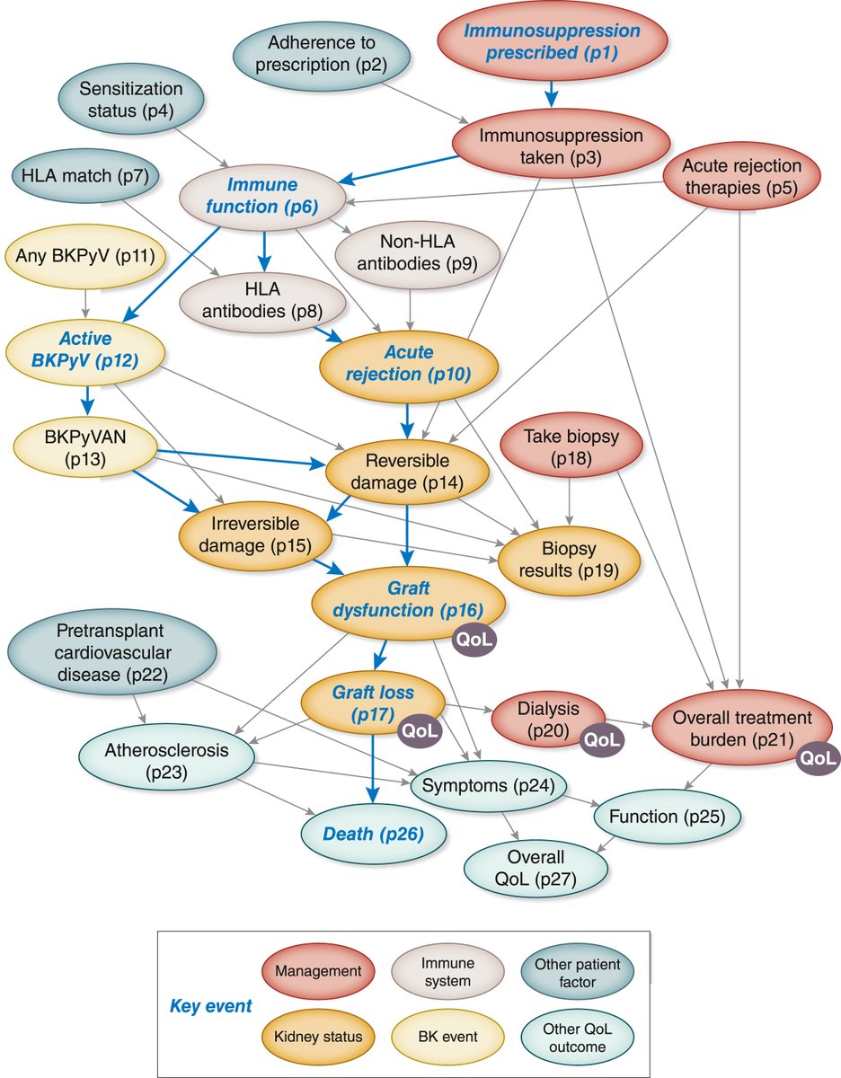 Kidney International (@kidney_int) on Twitter photo Using causal directed acyclic graphs (DAGs) to select patient-important outcomes in #transplantation trials—interventions to treat #polyomavirus infection as an example.
doi.org/10.1016/j.kint…
<a href="/Sydney_Uni/">University of Sydney</a> <a href="/syd_health/">Sydney Health</a> <a href="/WCVID/">WCVID</a> Using causal directed acyclic graphs (DAGs) to select patient-important outcomes in #transplantation trials—interventions to treat #polyomavirus infection as an example.
doi.org/10.1016/j.kint…
<a href="/Sydney_Uni/">University of Sydney</a> <a href="/syd_health/">Sydney Health</a> <a href="/WCVID/">WCVID</a>