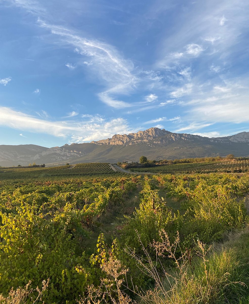 ABRA_Vino's tweet photo. A pesar de la falta de lluvia... el paisaje de nuestra comarca sigue siendo incomparable con la llegada del otoño.

--------------

Euririk egiten ez duen arren... gure eskualdeko paisaia udazkenean eder-ederra da.

#FONDOSFEADER
#laguardiariojaalavesa #riojaalavesa #araba https://t.co/pL9lGlJN0z