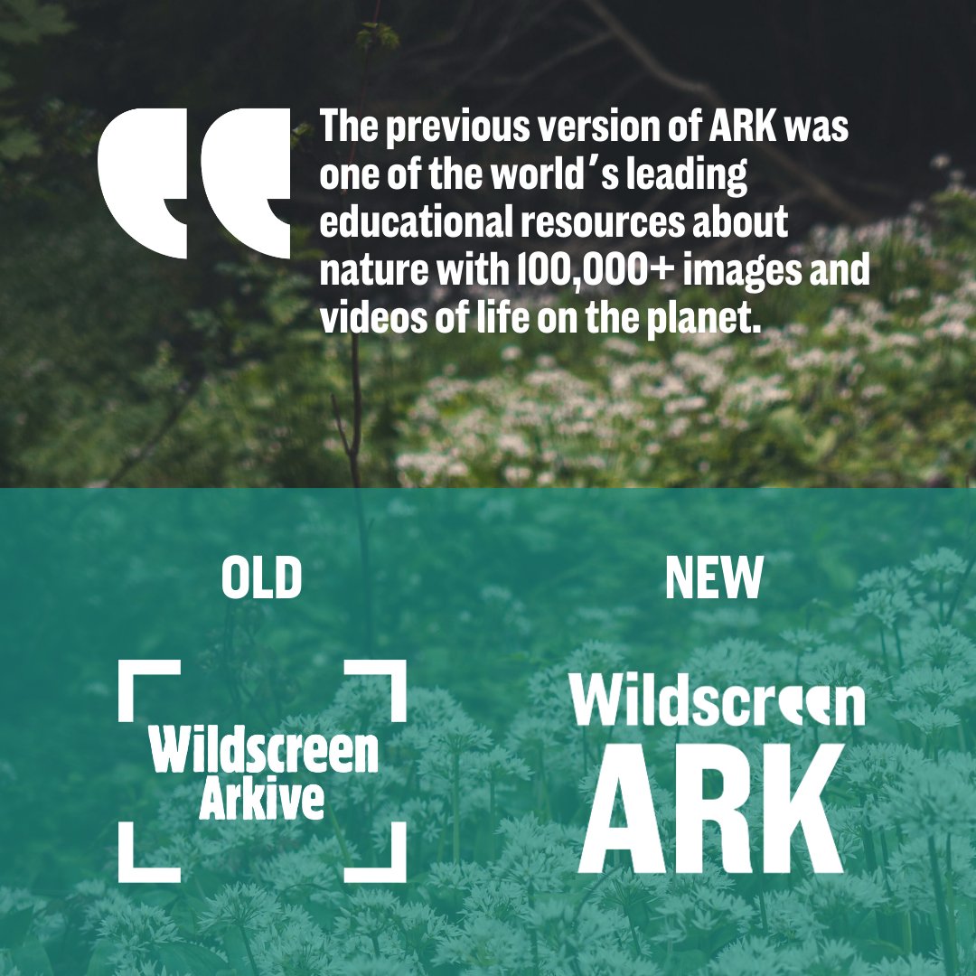 WildscreenFest's tweet photo. Providing free, accessible and reliable education on protecting our planet is more important than ever before. Find out how #WildscreenARK aims to support educators and students across the UK to learn more about our natural world. https://t.co/8E1wg1SPGh

#wildscreen #arkive https://t.co/mvgTHq7eqR