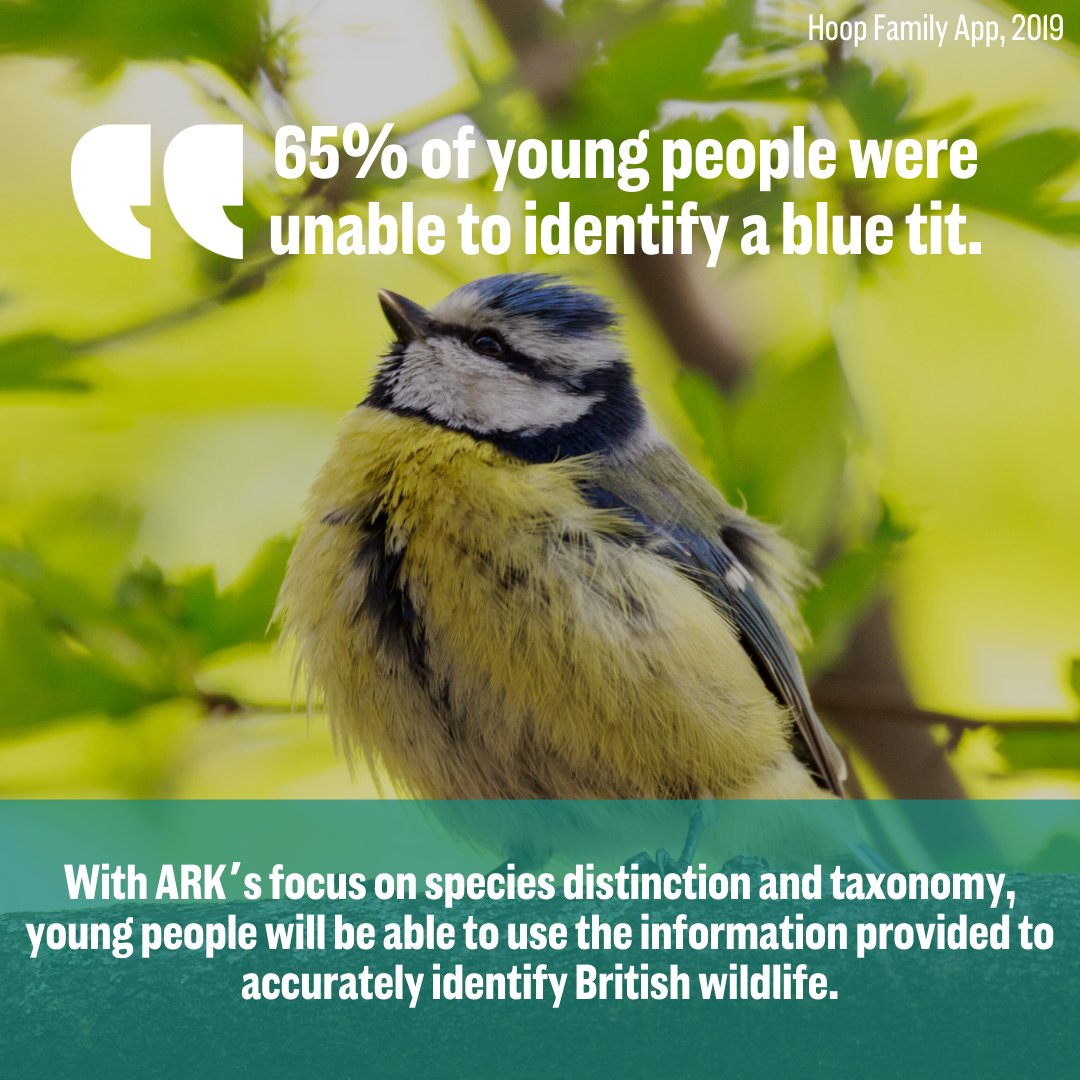 WildscreenFest's tweet photo. Providing free, accessible and reliable education on protecting our planet is more important than ever before. Find out how #WildscreenARK aims to support educators and students across the UK to learn more about our natural world. https://t.co/8E1wg1SPGh

#wildscreen #arkive https://t.co/mvgTHq7eqR