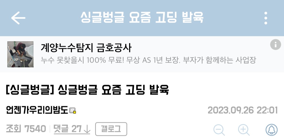 อองตวนเน็ตเวิร์ก tweet media