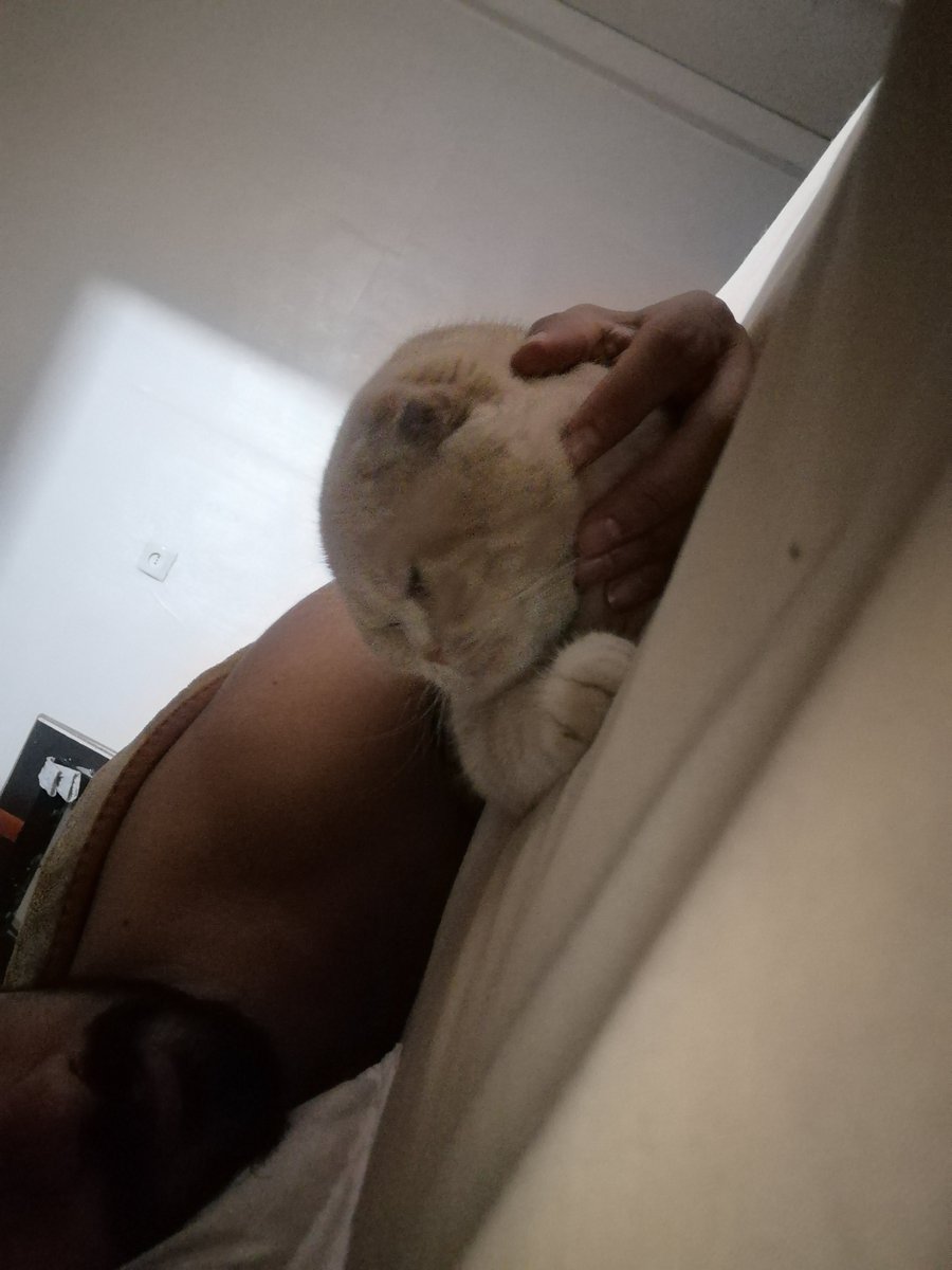 واقعا ریکی تنها دلیل خونه رفتن منه وگرنه همین سرکارم میخوابیدم