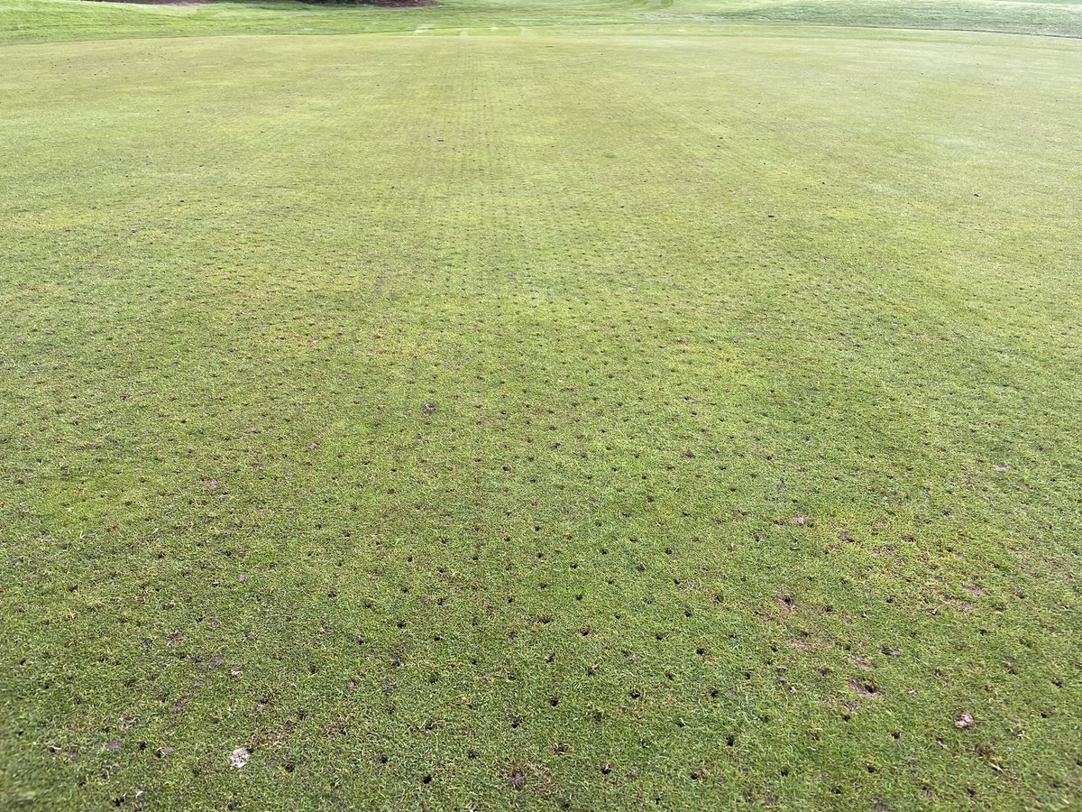 ryan_oliver1's tweet photo. Micro-Core programme begins today! 5mm cores to a depth of 1.5inch. Cores collected and greens cut afterwards. The aim is to repeat this work monthly through the winter depending on ground conditions. @CottinghamParks https://t.co/XOBDbSS7LW