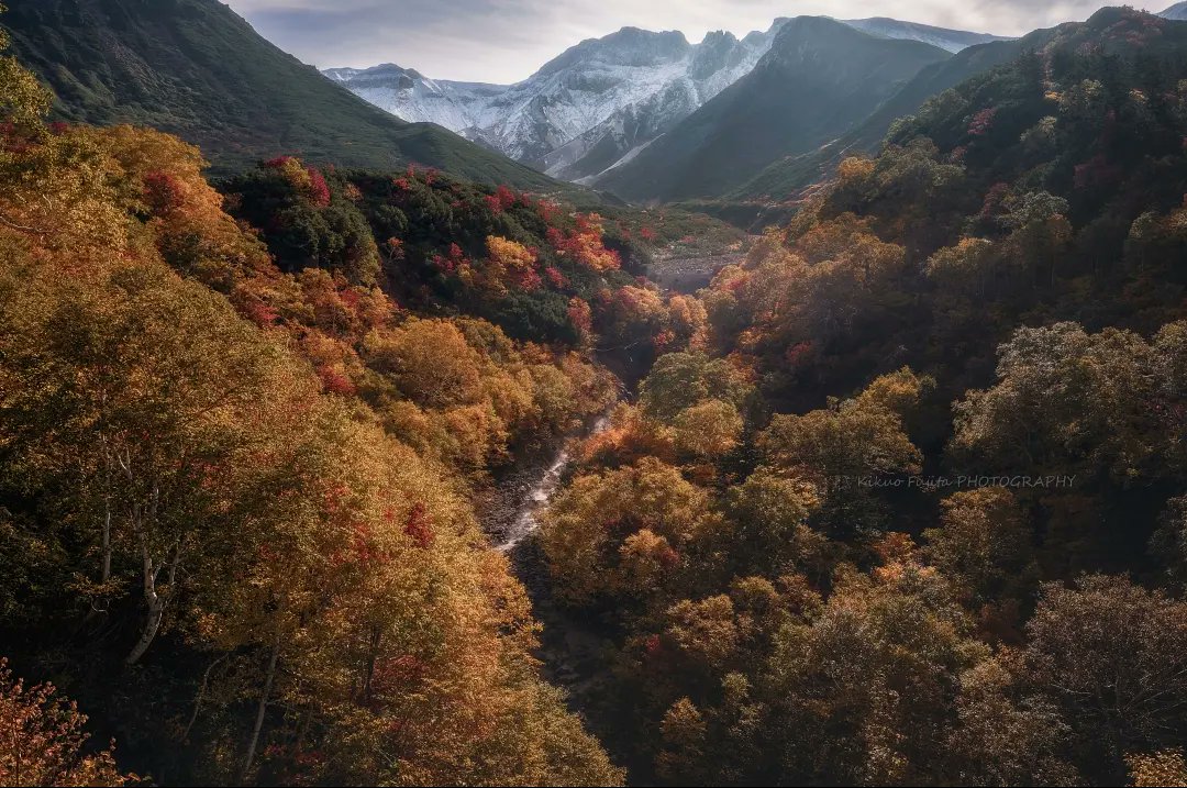 Fall in Fall
今年も撮影におでかけに一番忙しい季節がやって来た🍁
防寒着と胃袋の準備はばっちり🌰🍠🍇🍎
#大雪山国立公園 #北海道 #sonyalpha #hyfilter #tokyocameraclub