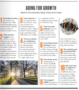 kingcharlesfund's tweet photo. Delighted to see the Fund and @treesforcities featured in @waitrose Weekend this week. We were pleased to support Trees for Cities #GenerationTree with £120,000 through our major grants programme. 

Read here: https://t.co/C8sUaxzLXZ https://t.co/dzndiF0zwb