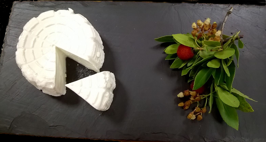 🧀 ¡Gran noticia! Hemos sido premiados en la #FeriaDeSantErmengol en la categoría de quesos frescos. El evento fue un éxito rotundo, ¡nuestro stand estuvo repleto de amantes del queso!  No podemos estar más contentos. quesosderadiquero.es