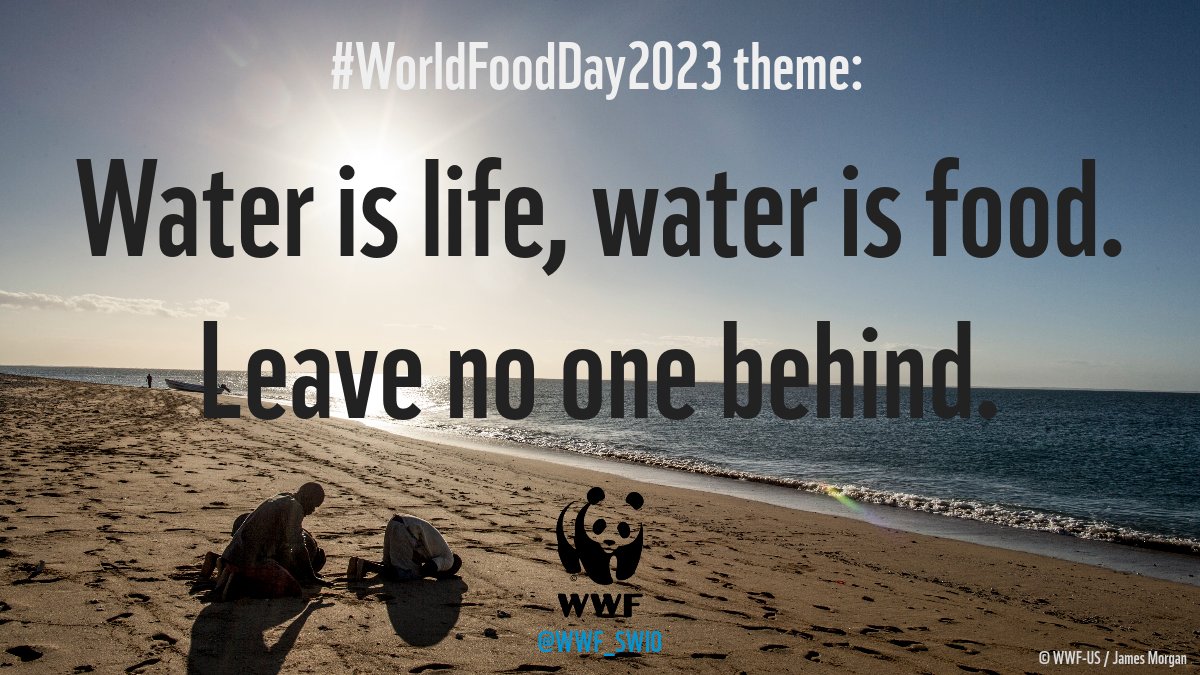 🐟 On this water-centric #WorldFoodDay, we emphasise the value of #BlueFoods in the #SWIO region, which is being threatened by #climatechange, #overfishing and illegal, unregulated and unreported fishing. ⚠🎣

Read more about SWIO #IUUfishing here: bit.ly/3S4cokb