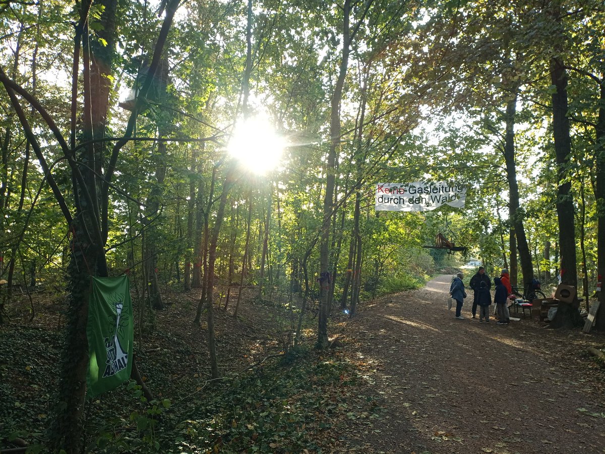 Grüße aus dem #dietibleibt Heute ist der 14. Tag der Dauermahnwache gegen die Rodung für eine Erdgasleitung in #Freiburg sobald das Gericht entschieden hat, wird es mit der Rodung/Räumung losgehen. #waldstattasphalt #allewaelderbleiben #jederBaumzaehlt