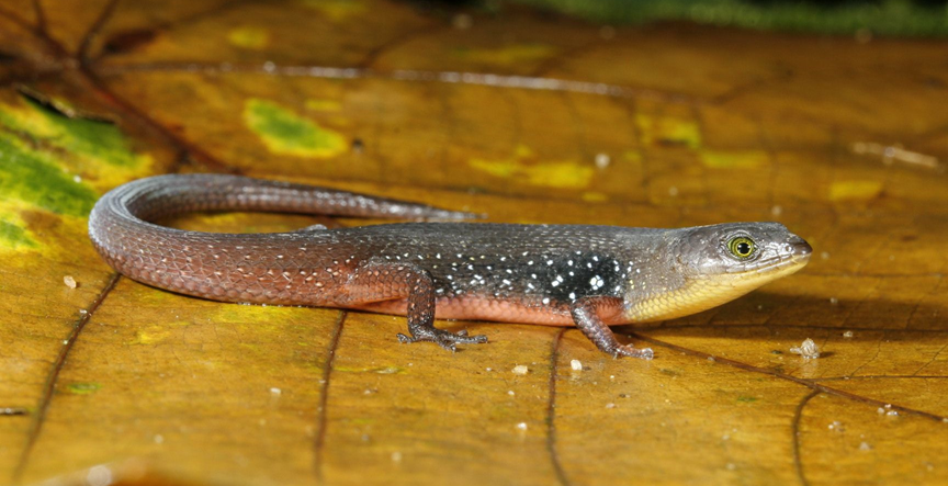 Aniruddha Datta Roy tweet media