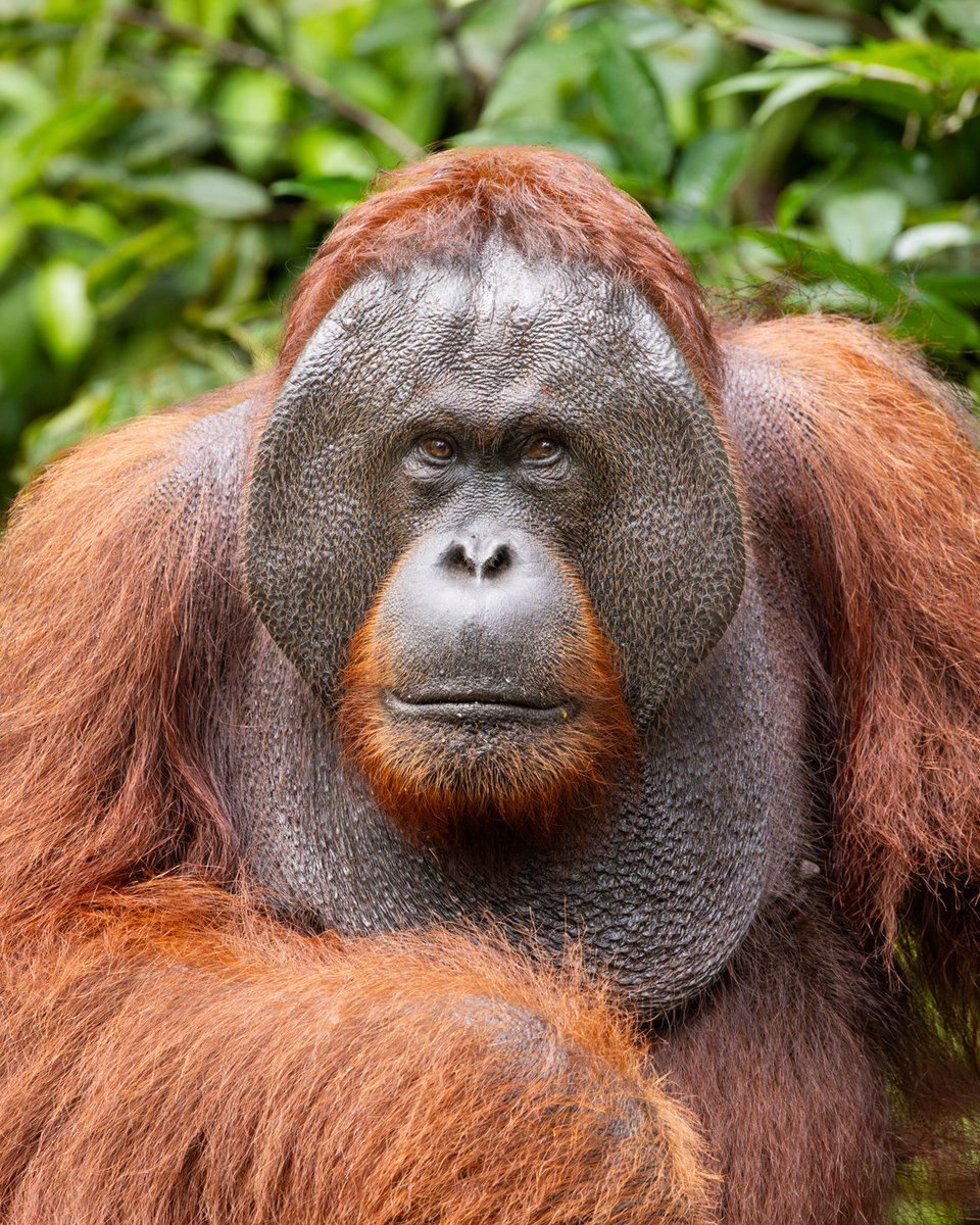 Richard Bernabe tweet media