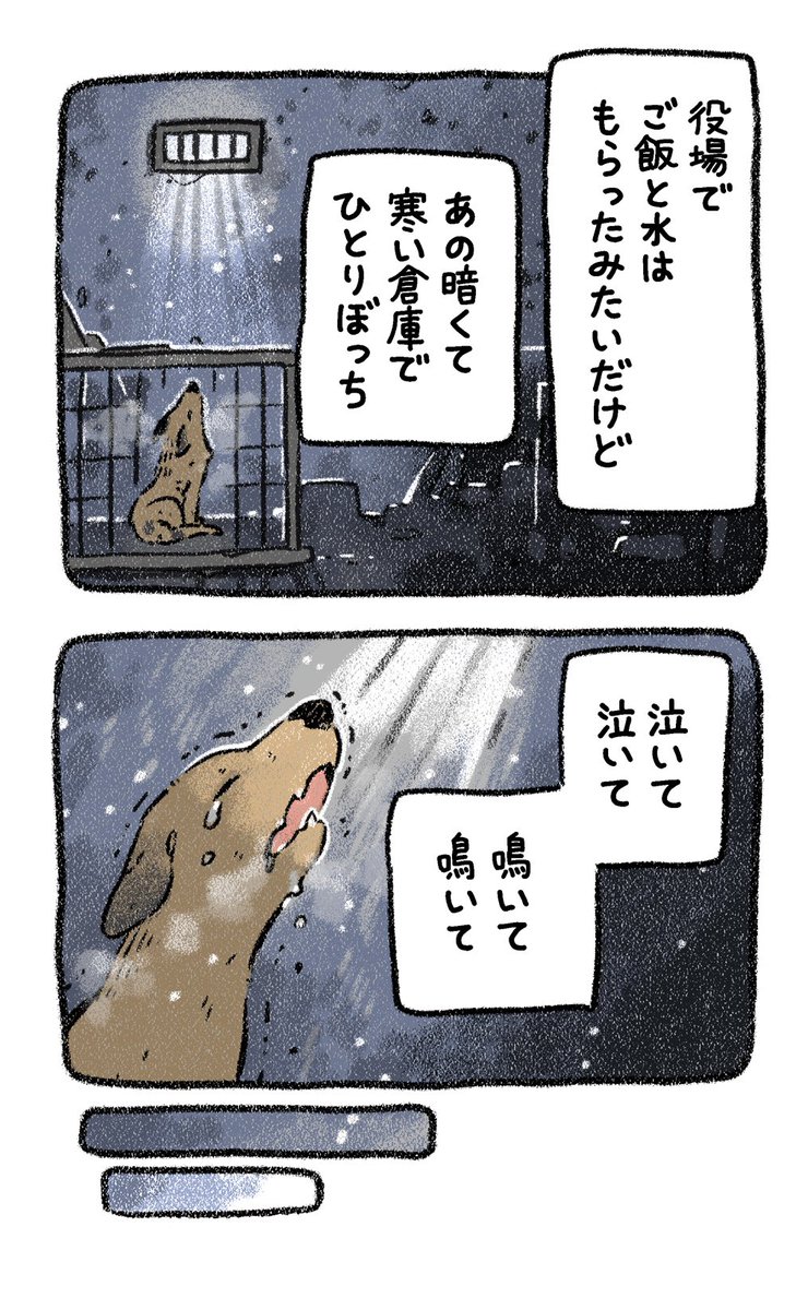 保護犬茶々のお話【第7話】 #漫画が読めるハッシュタグ