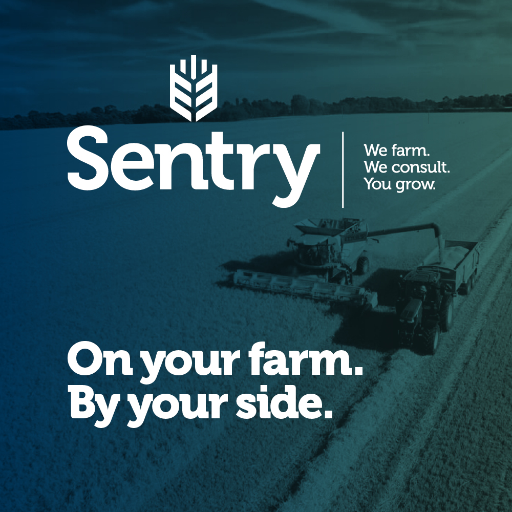 We are pleased to launch our new brand identity.  With over 50-years experience, our team work with clients to deliver forward-thinking solutions that result in sustainable growth, alongside protecting the environments in which they operate. Sentry; on your farm, by your side