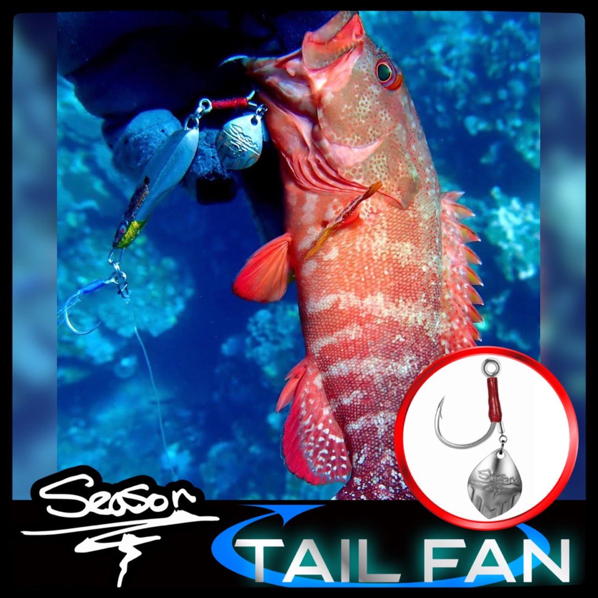 SeasonTackle's tweet photo. 【TAIL FAN】新システム登場！スイベルアシストを採用する事によりサワラなどの歯が鋭い魚が相手でもアシストラインを切られることが無いよう対応！アピール力とブレードの振動による波動により青物や根魚でも問題なくフックアップ！タテアイオリジナルハイパワーフック搭載！高速・低速巻き対応可能！ https://t.co/on3hNRBiPb