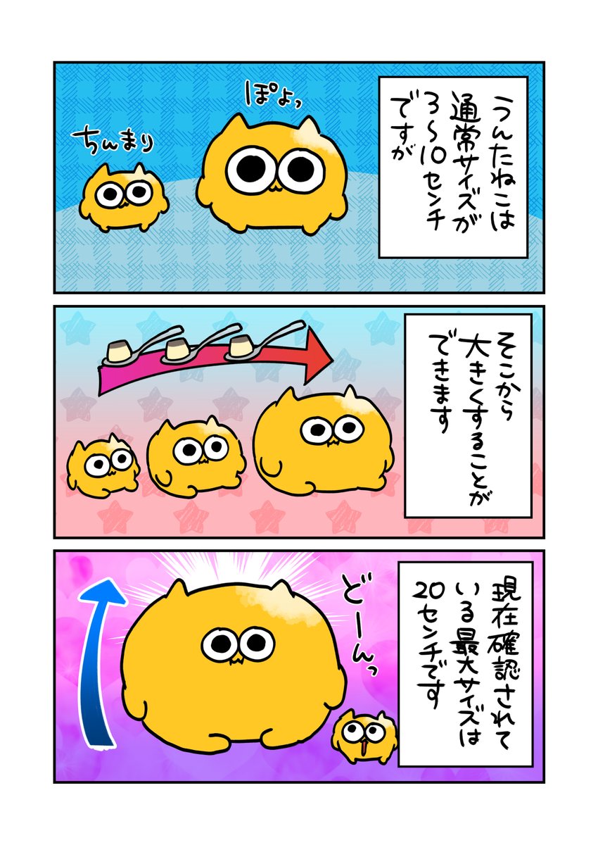 untaneko's tweet photo. ふくよかうんたねこの育て方①
#うんたねこ
#漫画が読めるハッシュタグ https://t.co/vohxYSf7nS