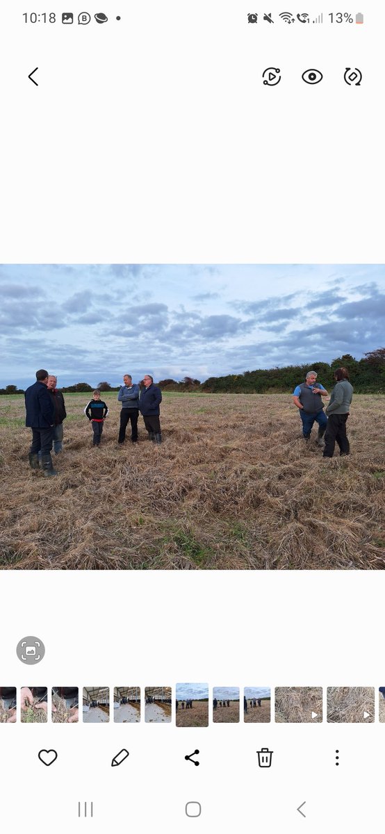 mstapo's tweet photo. Looking at beautiful Bannow Bay, it is hard to believe that only a kilometre away, a years work, and a crop of barley lies destroyed. 2023 is a year this group will never forget. If @McConalogue can't support these farmers, what can he do? https://t.co/V2EiWjx0EK