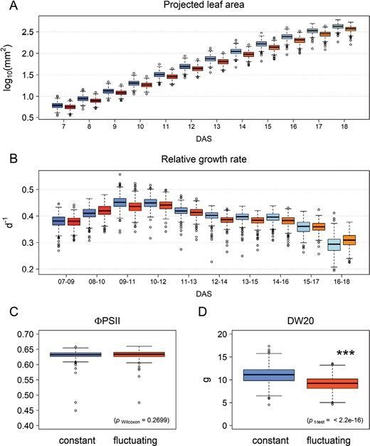 💡 In this study, 382 Arabidopsis accessions were grown under two different light regimes
🌱  Spatiotemporal data was collected in order to identify which regions of DNA relate to projected leaf area, relative growth rate, and PSII operating efficiency.

bit.ly/48JDOBX