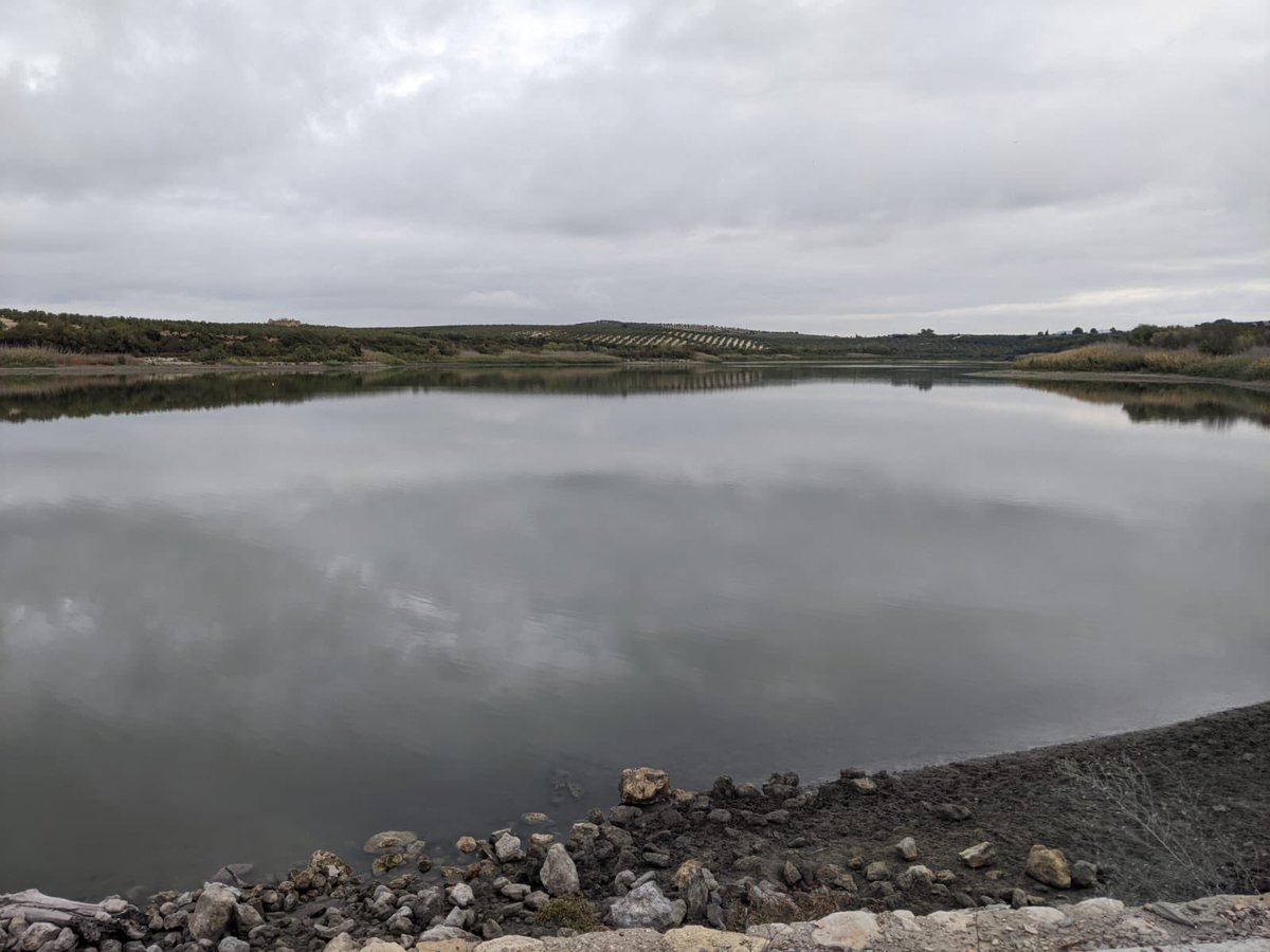 Palaeo_Decadal's tweet photo. Kicking off our two week coring campaign and DECADAL research group meetings at Laguna de Zoñar this morning. Excited to get set up and extract some mud! https://t.co/AsPEgOl3qX