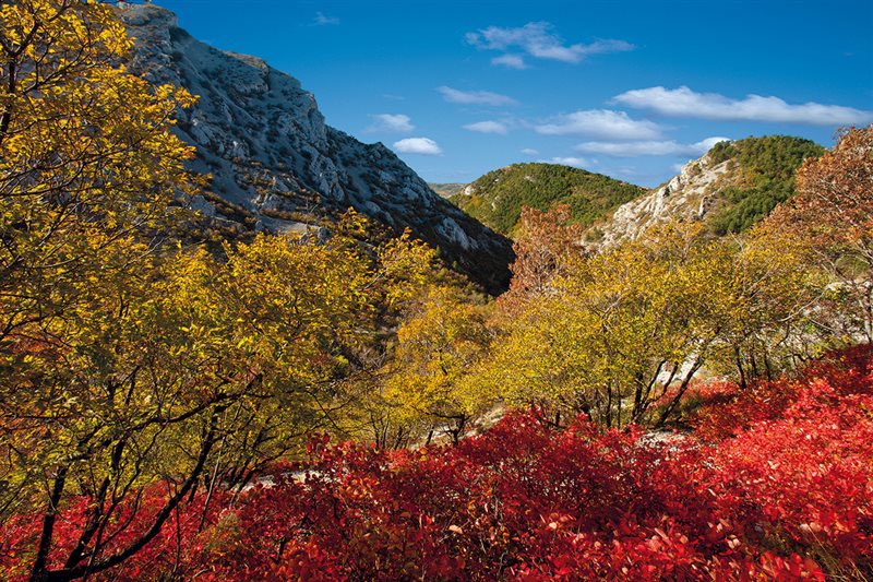Alla fine l’autunno è arrivato dirompente con venti di bora 💨 forte e temperature basse.
Ma anche questa stagione sa regalare giornate soleggiate per perdersi tra i colori del Carso che danno il meglio di sé ❤️🍁🍂

discover-trieste.it/Cose-da-fare/C…