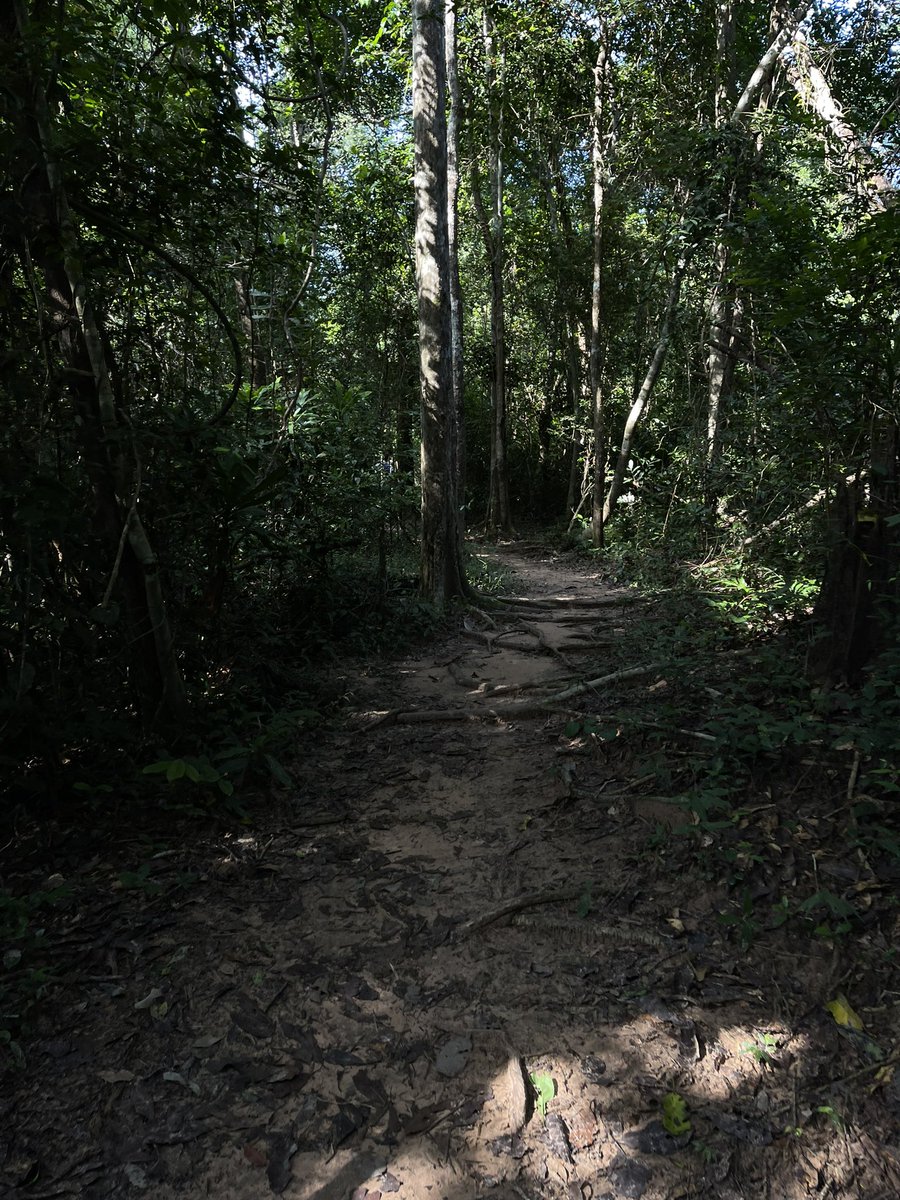 before (@whtarher) on Twitter photo 