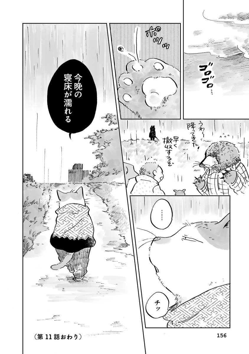 (5/5)