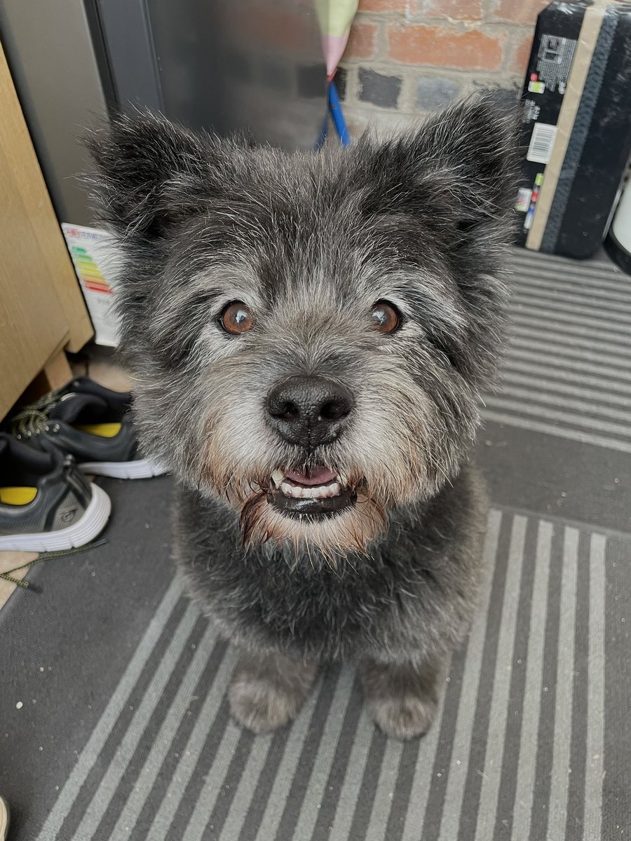 Katie | UK UGC Creator tweet media