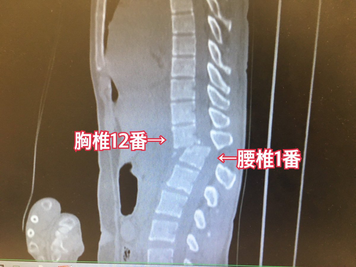猪狩ともか🌻 tweet media