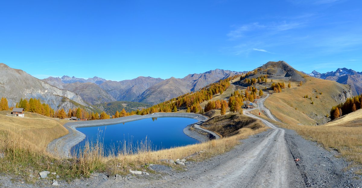 PITER ALPIMED tweet media