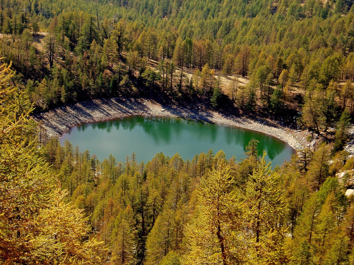 PITER ALPIMED tweet media