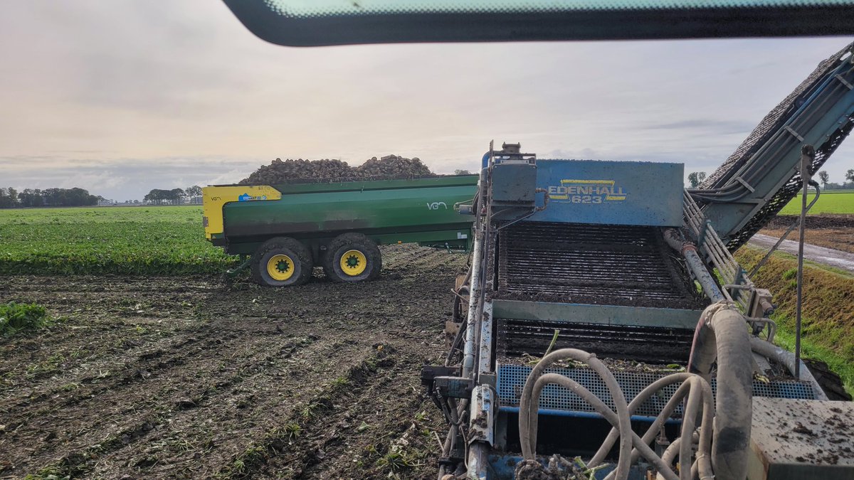 Michiel van Andel tweet media